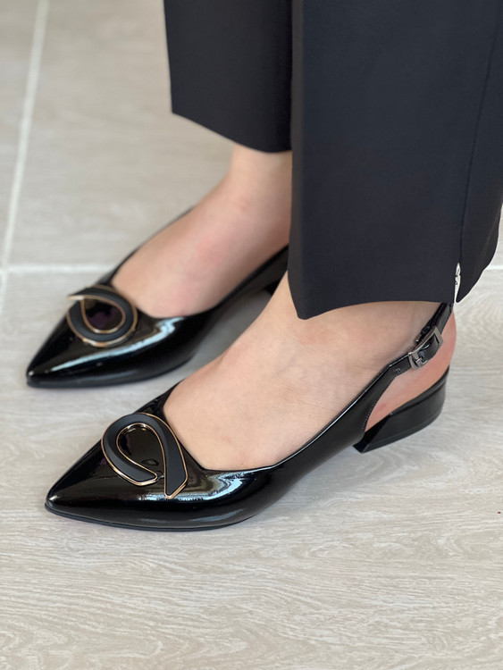 کالج سگک دار